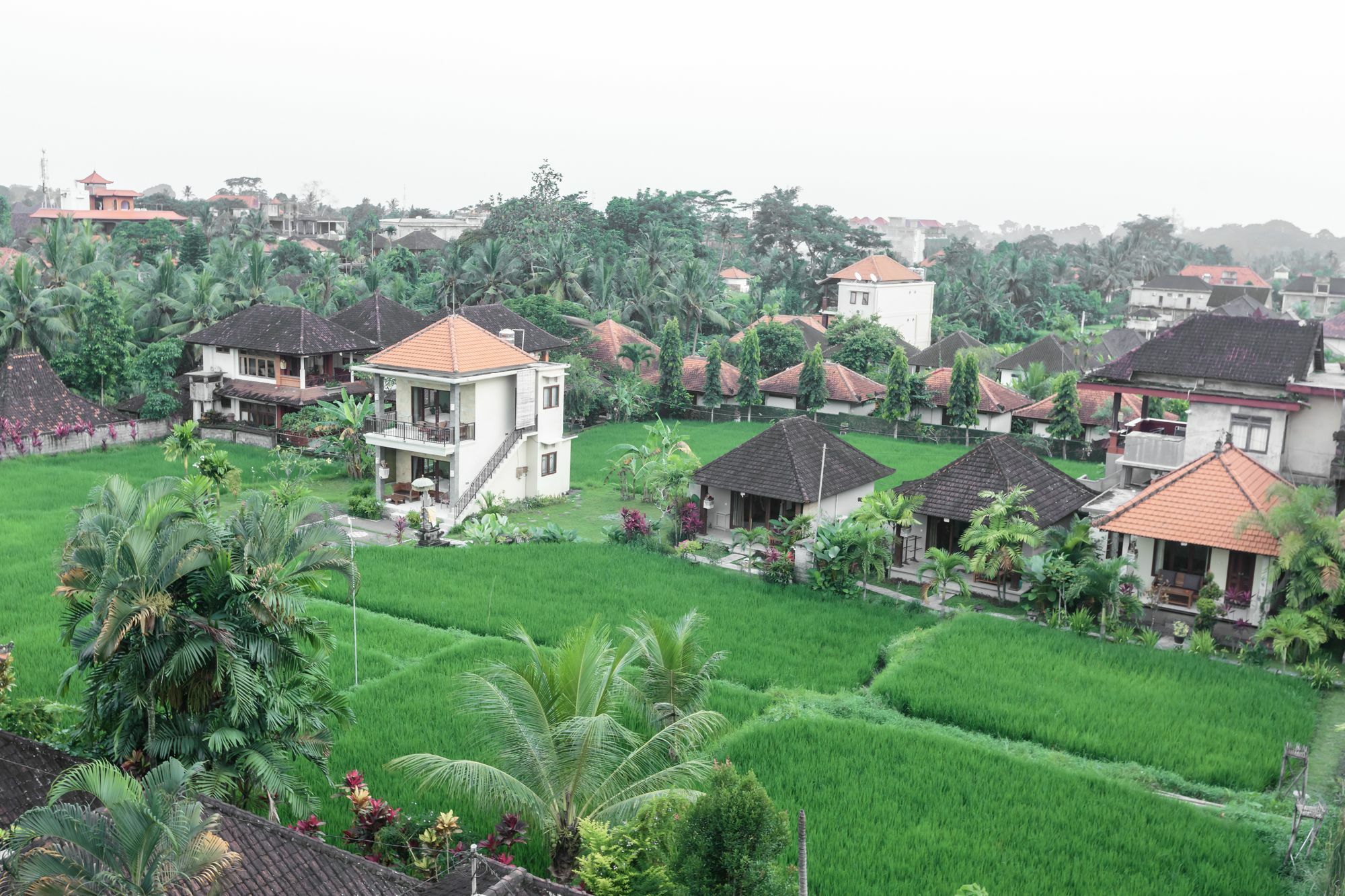 Warji House 2 Bisma Hotel Ubud Exterior foto